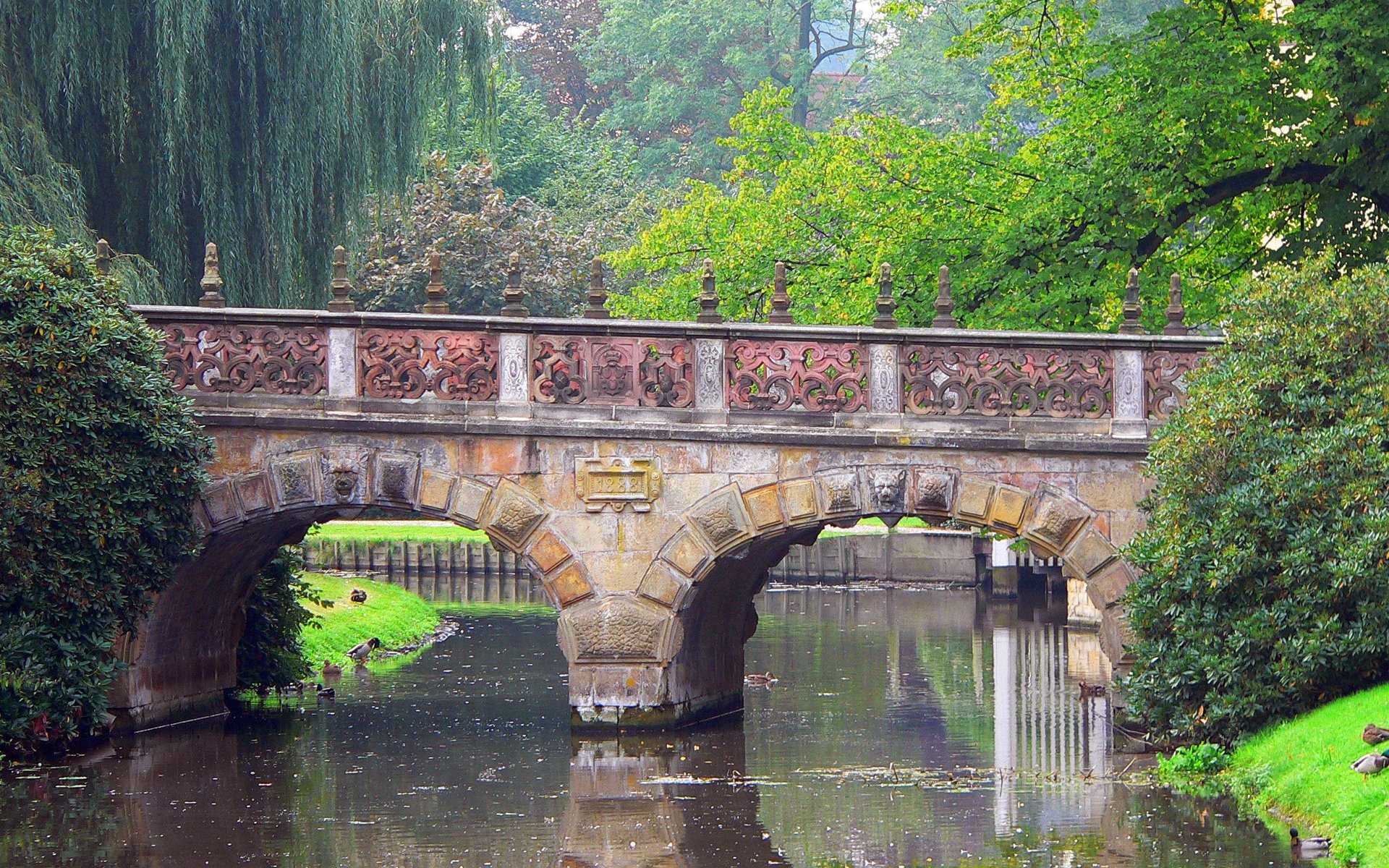 rzeka most park drzewa kaczka natura