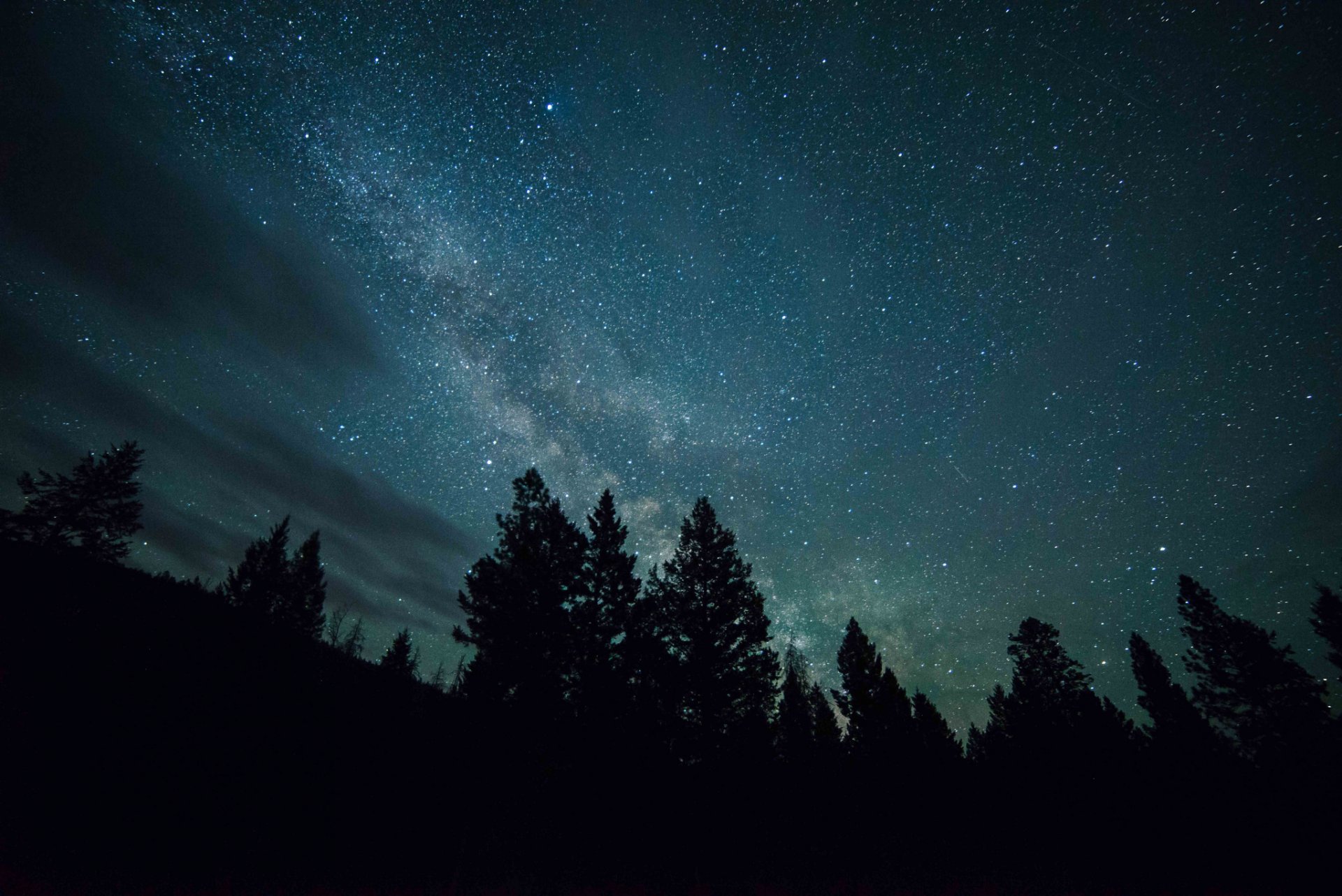 night forest sky star milky way