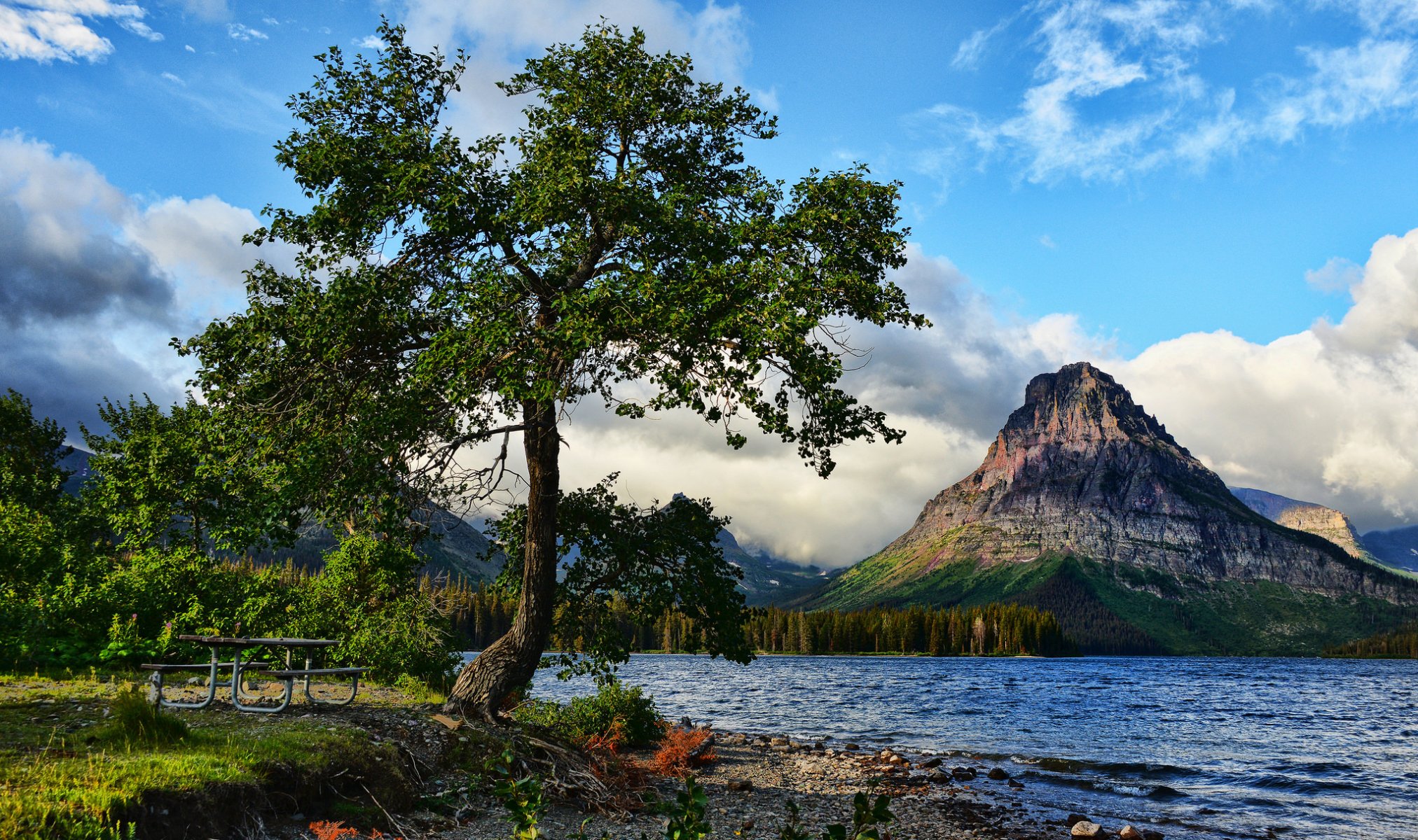 montagnes lac arbre paysage