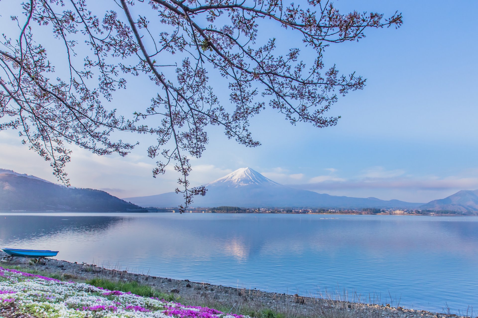 góra fuji jezioro kawaguchi japonia fujiyama fuji góra wulkan jezioro łódź gałęzie kwiaty