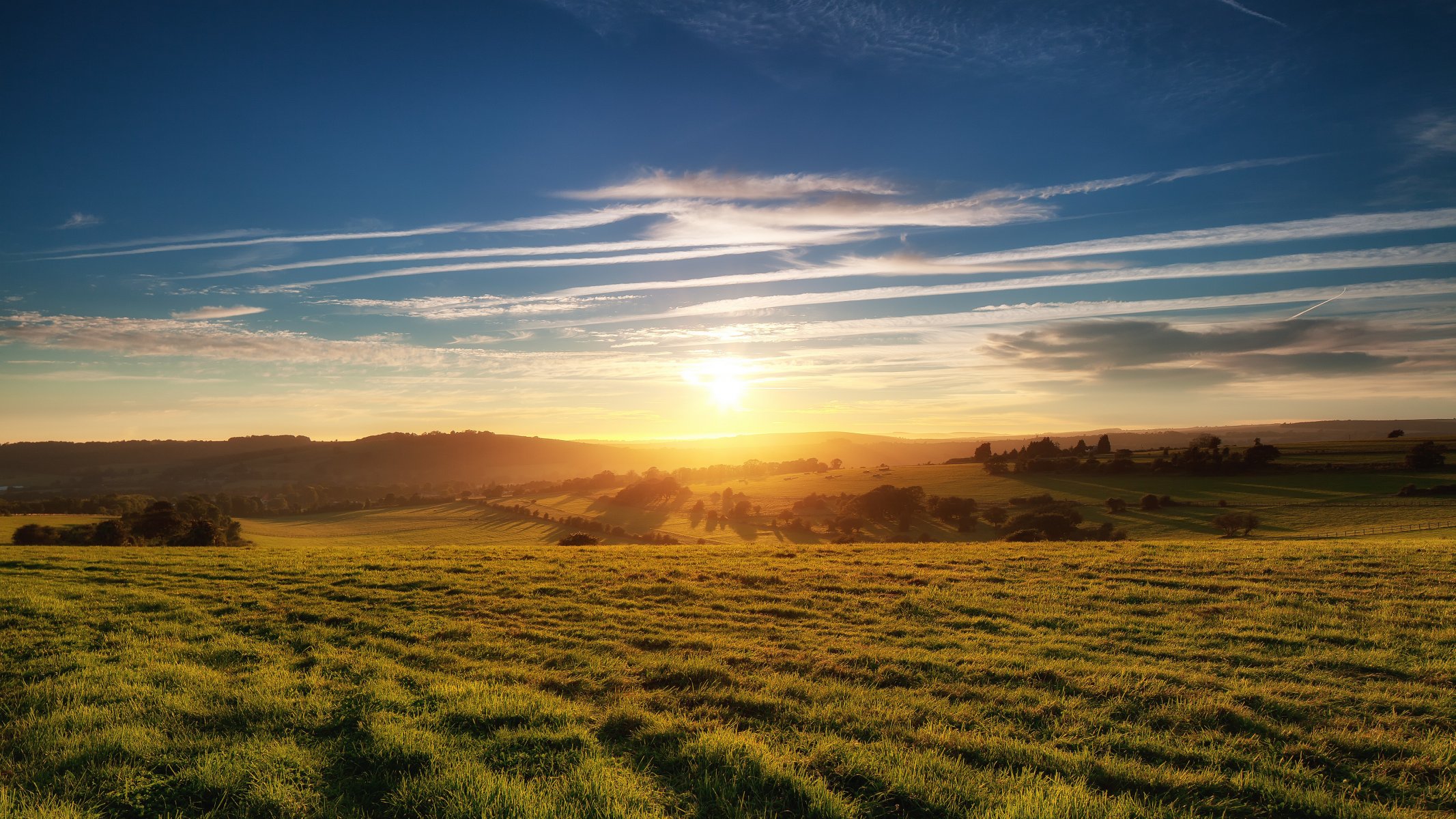 campo erba alberi sole cielo nuvole orizzonte