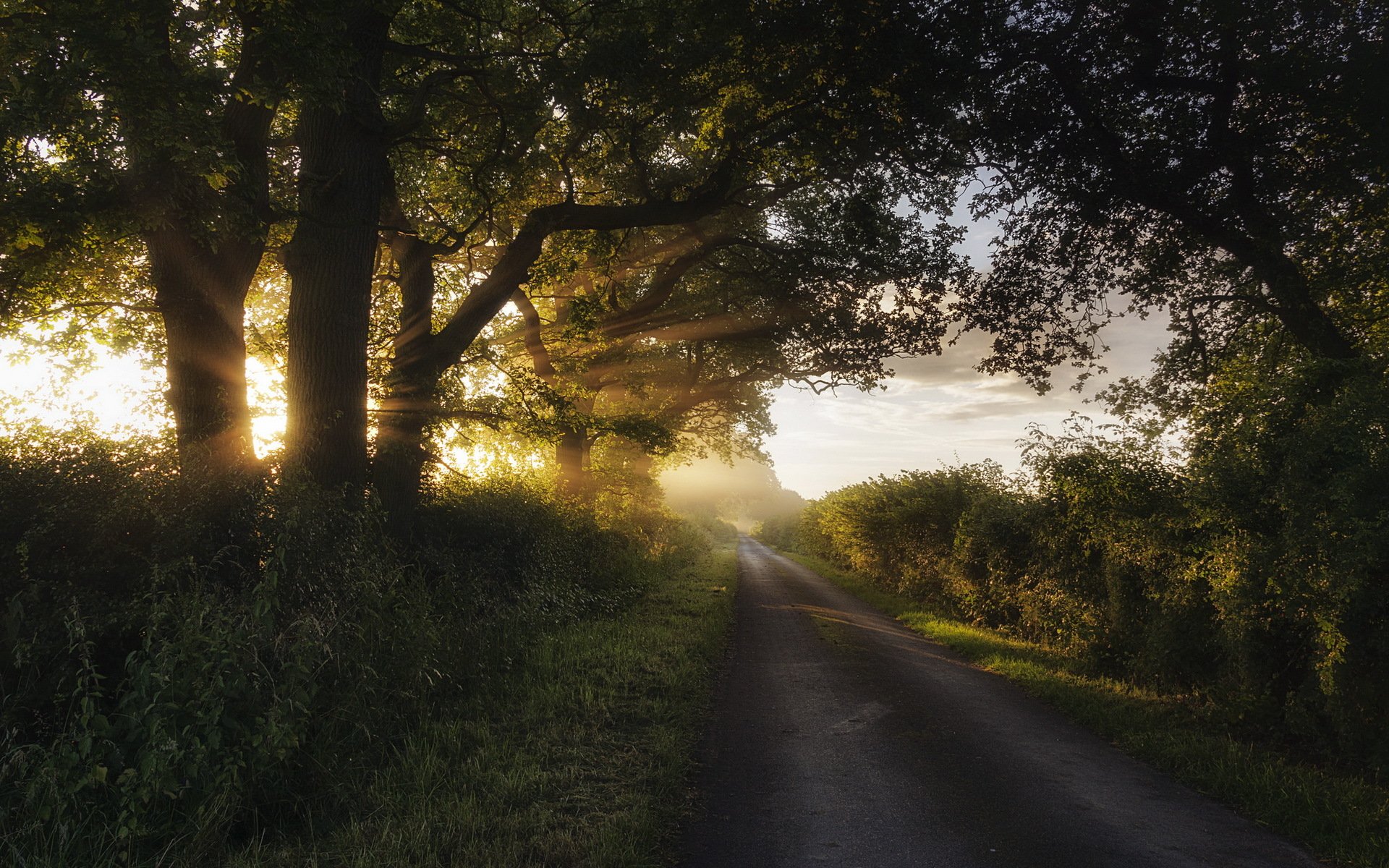 matin route lumière paysage