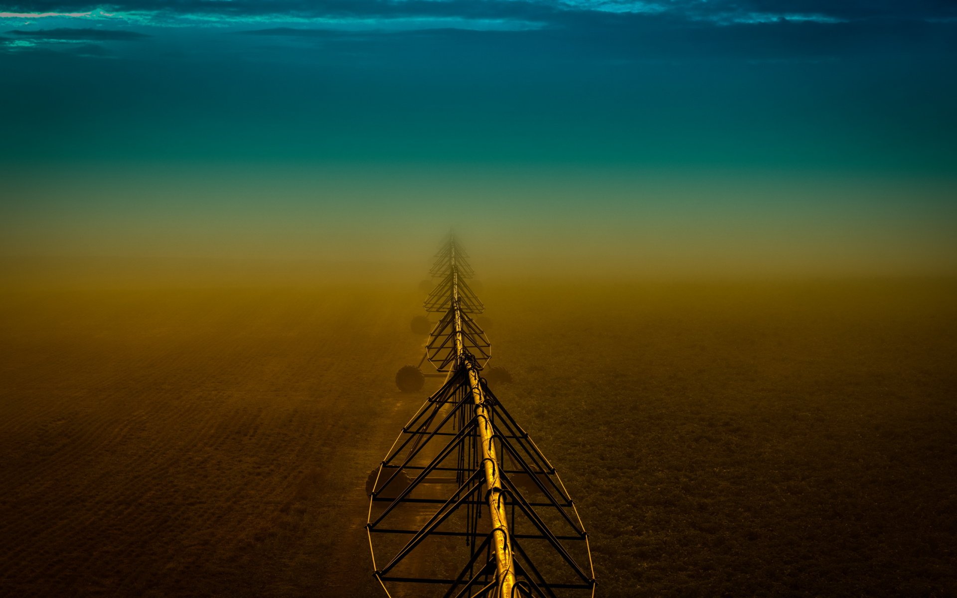 night fog the field