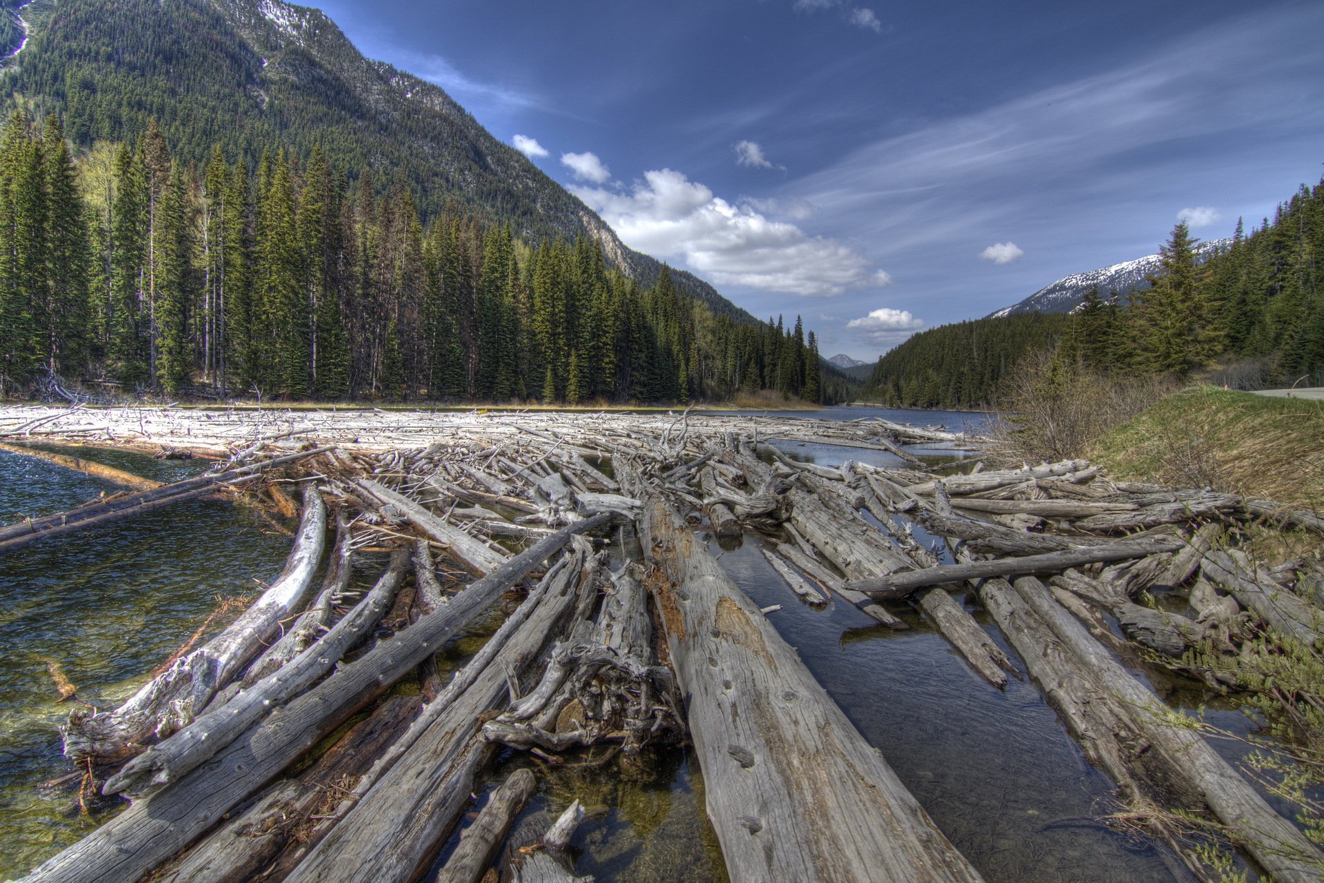 montagnes forêt rivière rondins