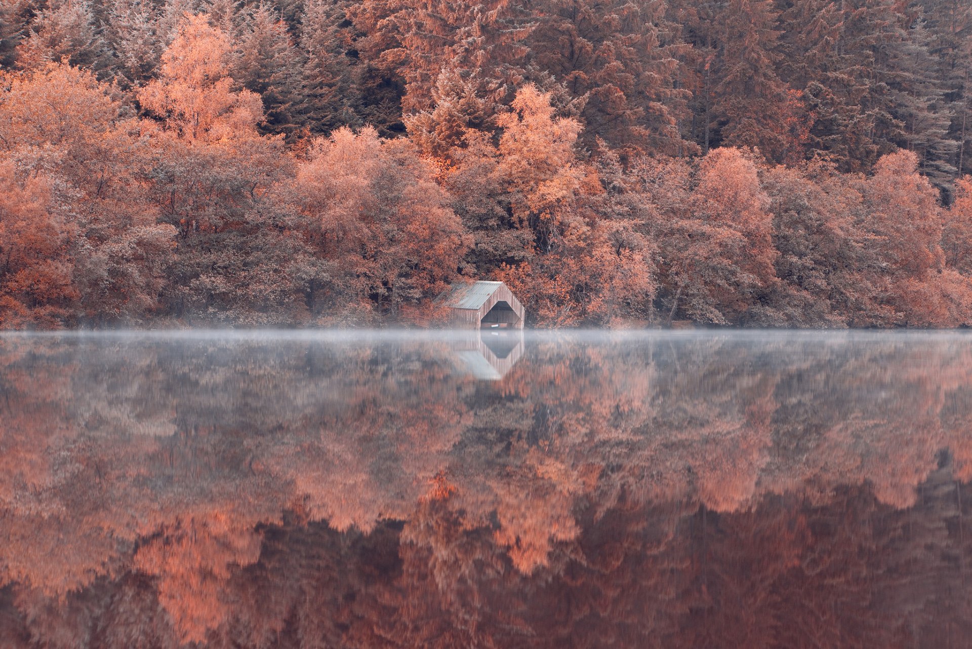 Осень лес туман озеро