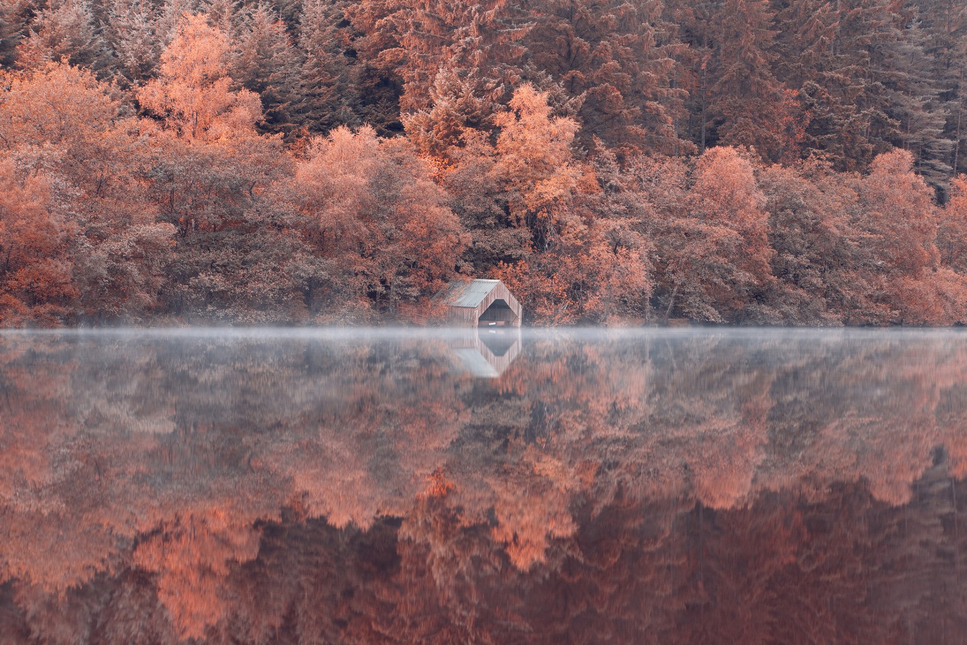 hang wald bäume see reflexion