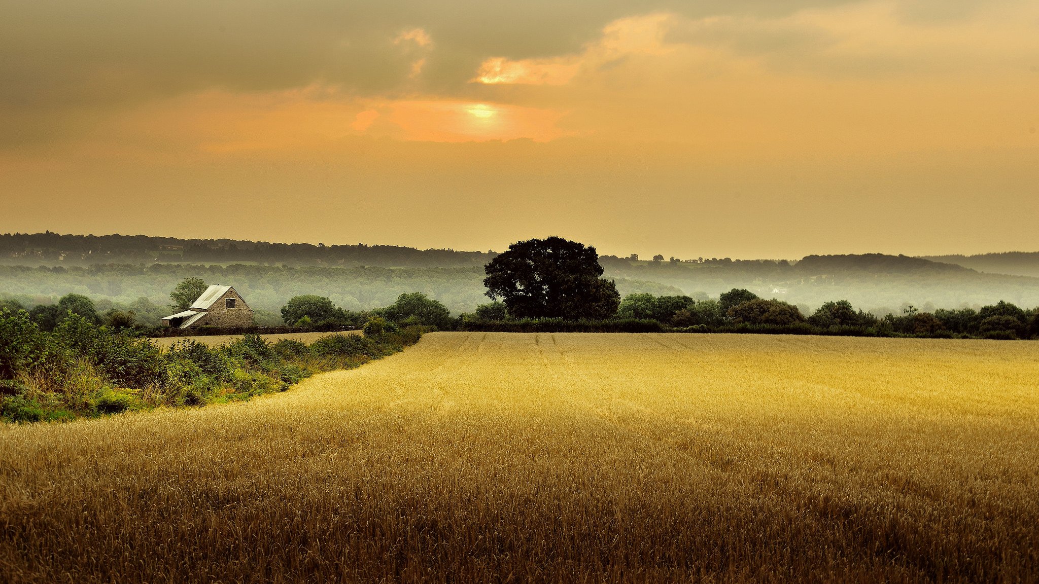 anglia gloucestershire dom pole drzewa poranek mgła świt