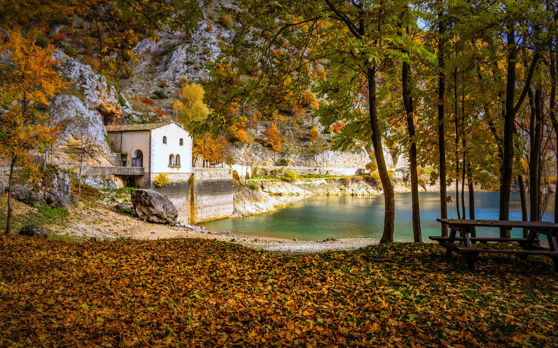 foresta parco tavolo panchina autunno lago casa ponte