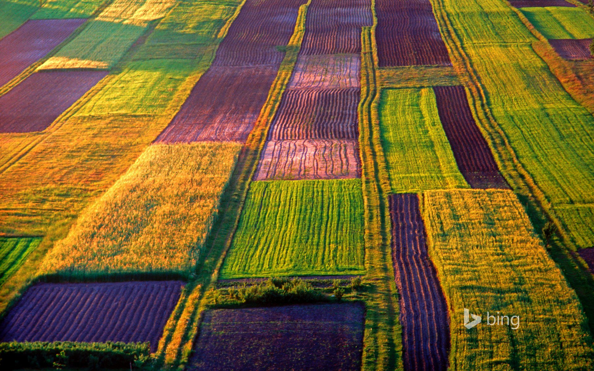 roztoce pologne ferme champ peintures nature