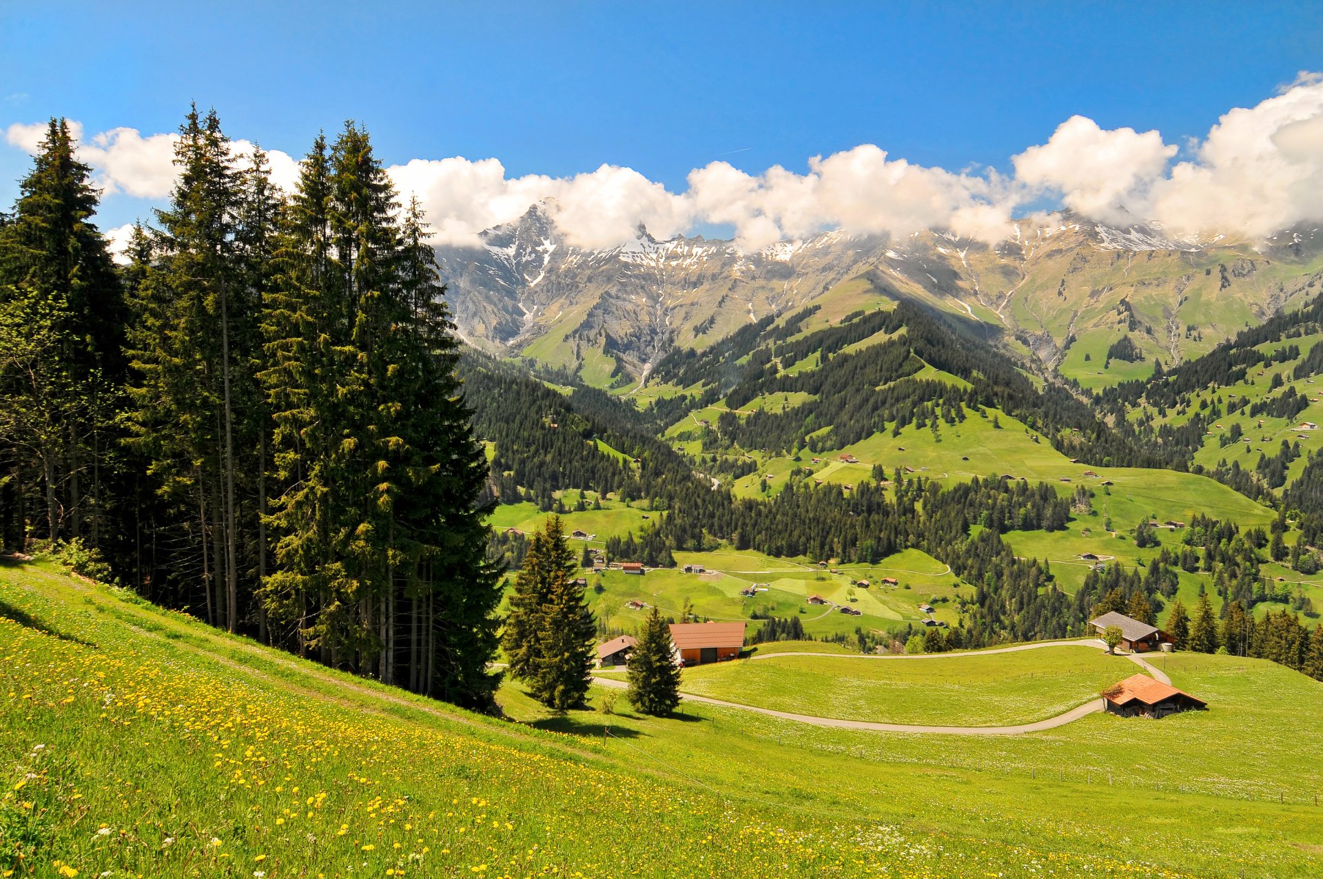 szwajcaria oberland góry pola łąki domki drzewa dolina