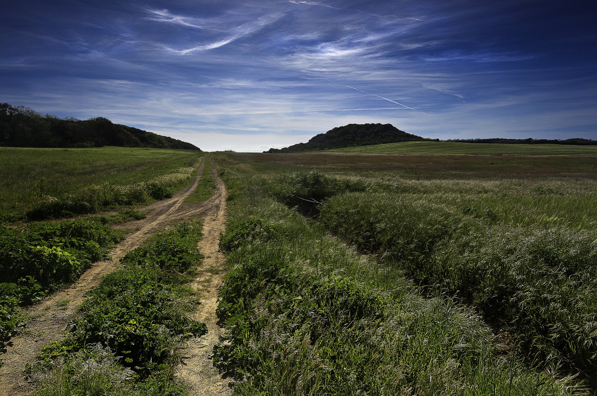 collines champ route ciel