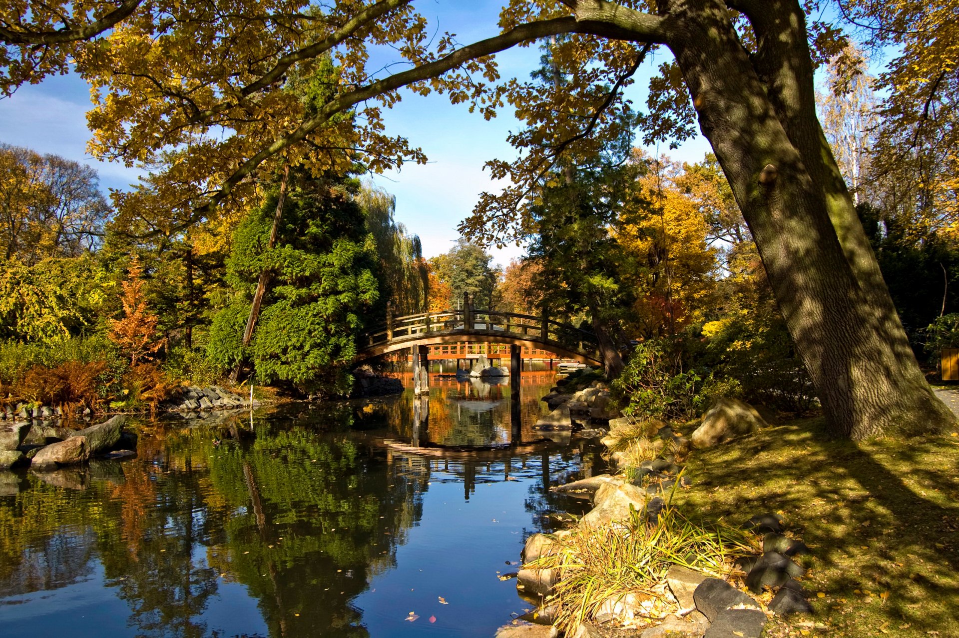 niebo park drzewa staw most jesień