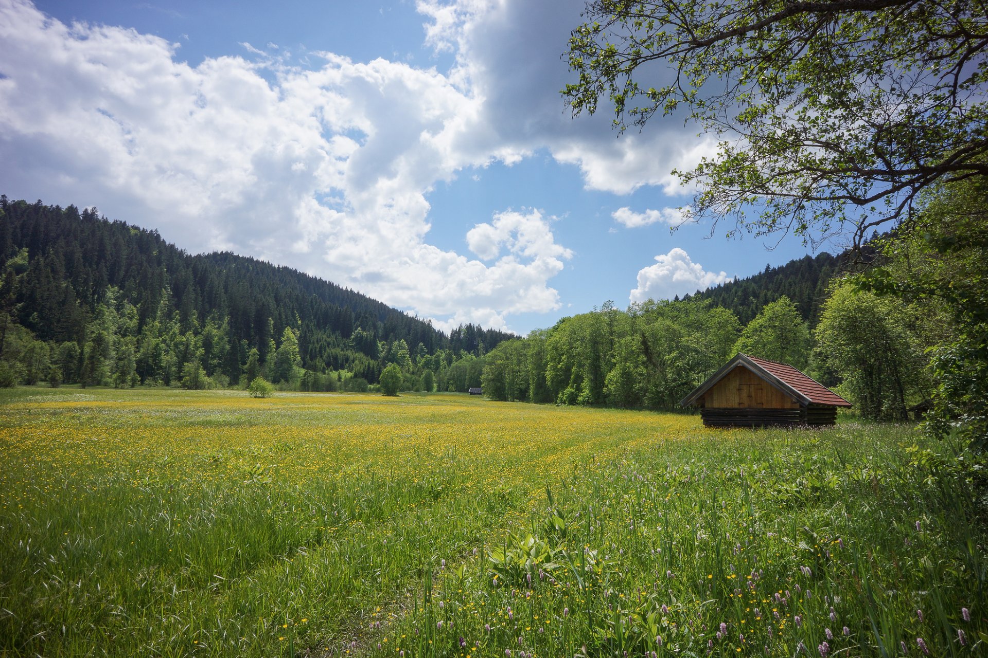 allemagne bavière werdenfels été pré