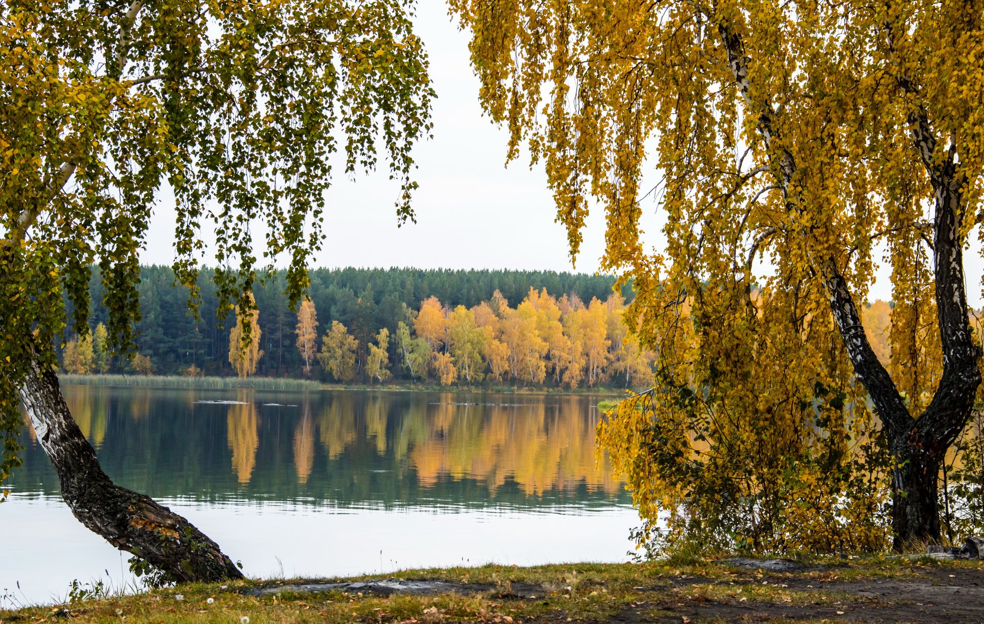 осень река деревья природа фото