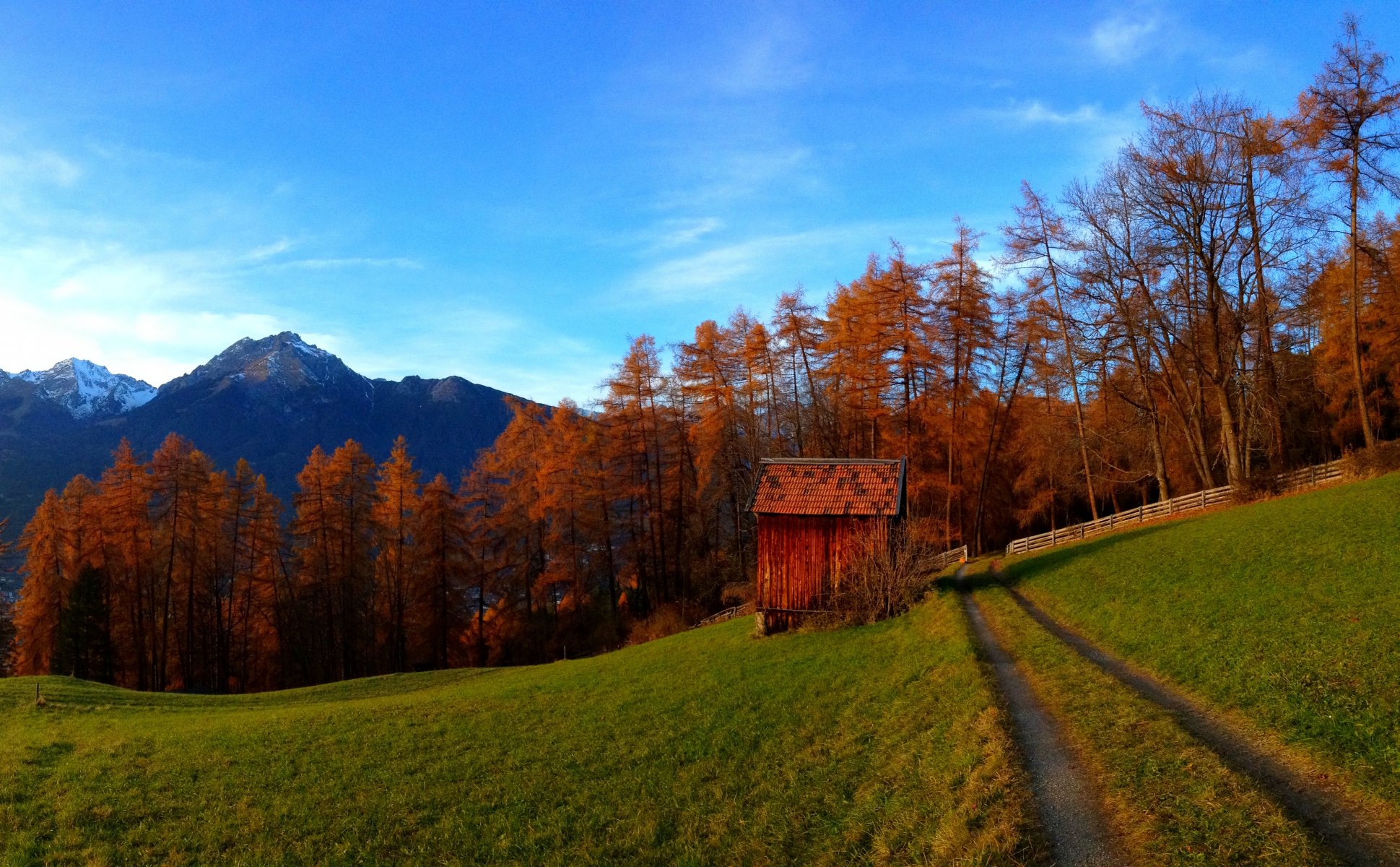 natur herbst berge himmel wolken felsen wald bäume bunt straße farben zu fuß gras