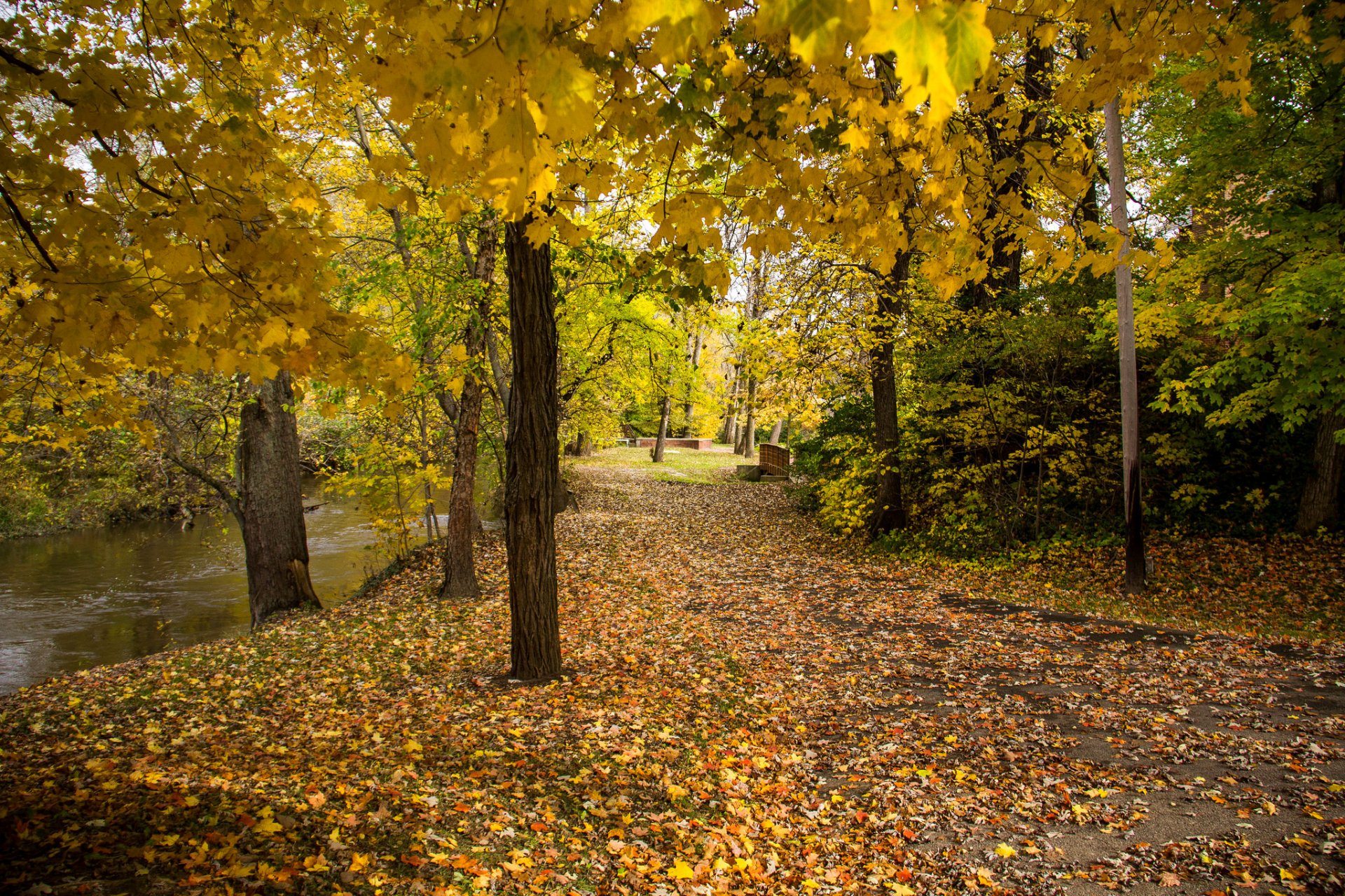 park teich bank bäume blätter herbst