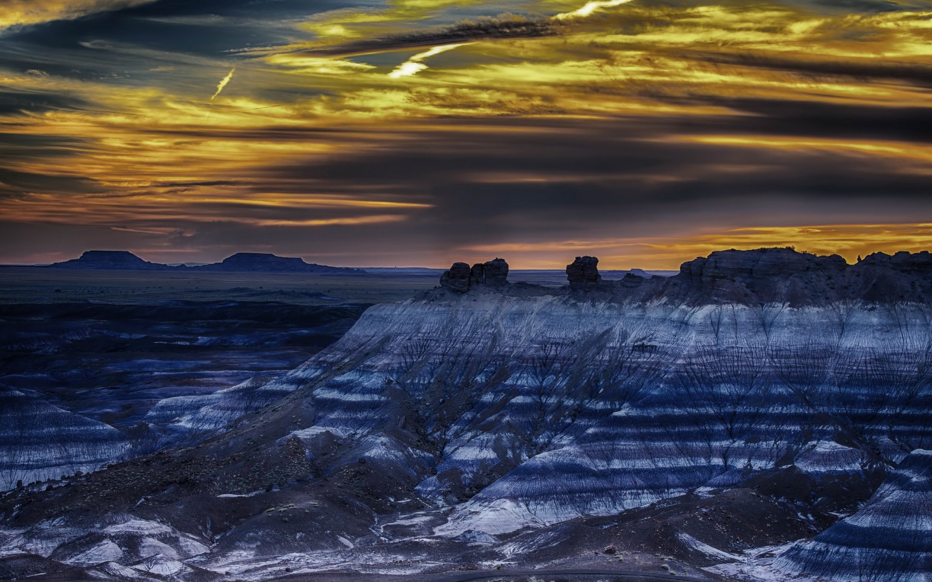 versteinerter forrest arizona natur landschaft nacht