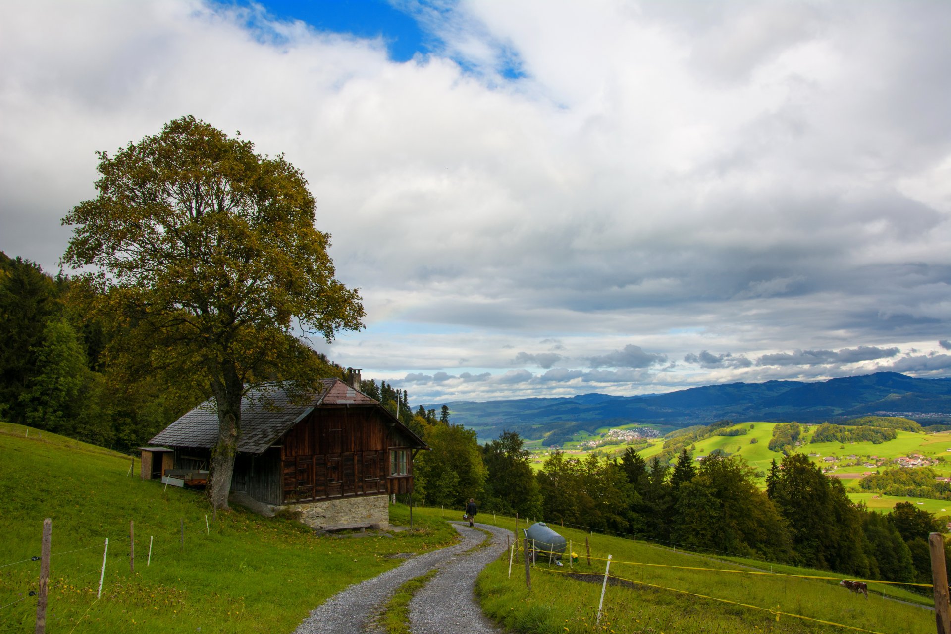 witzerland wattenwil mountain hills house tree slope road