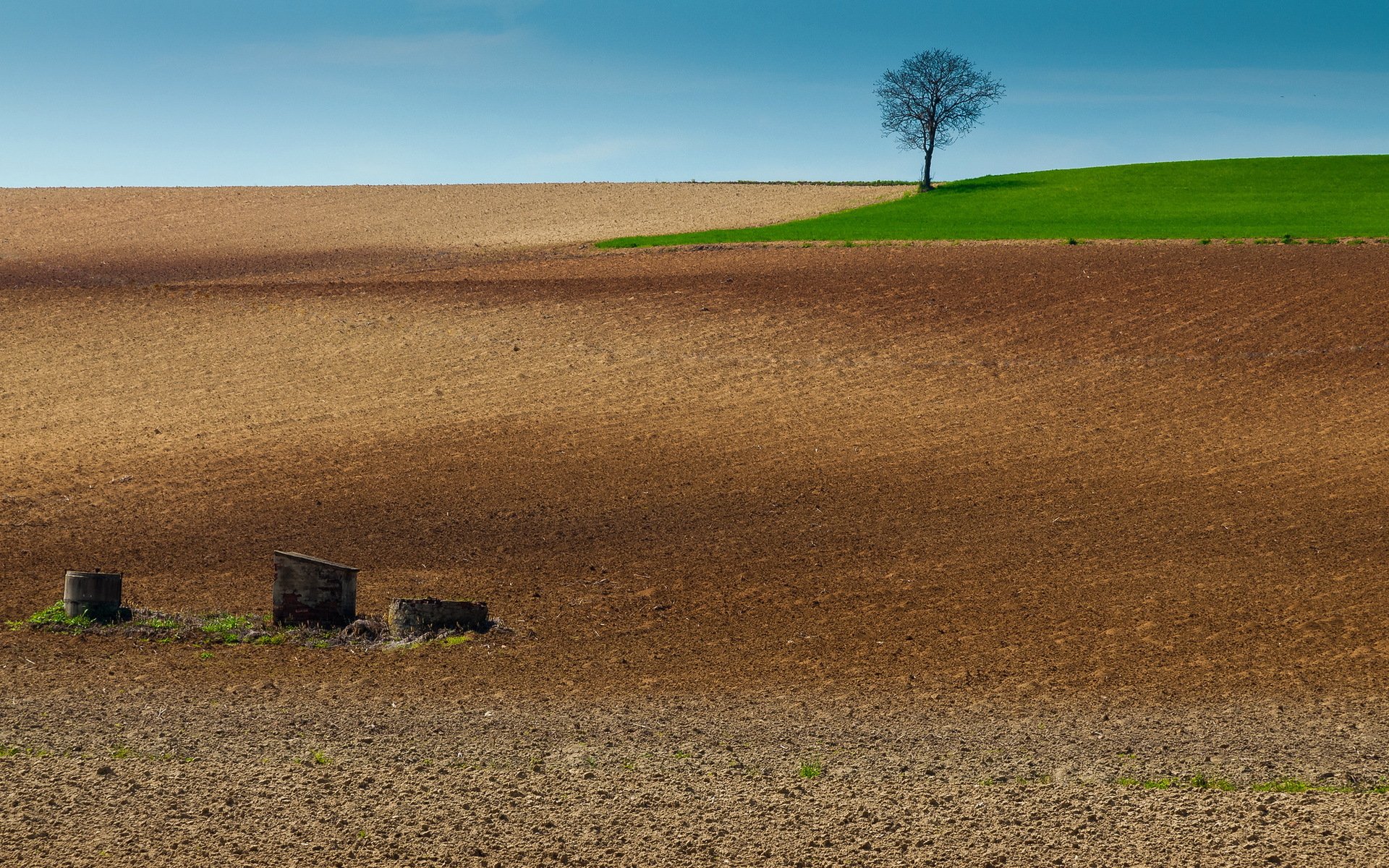 champ labour arbre paysage