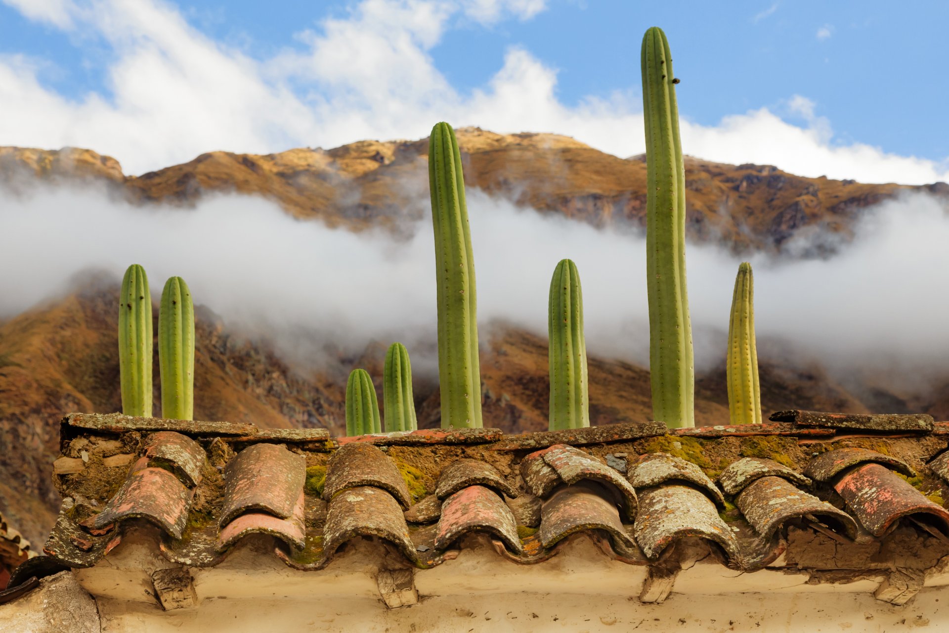 ollantaytambo perù nuvole montagne tetto tegole cactus