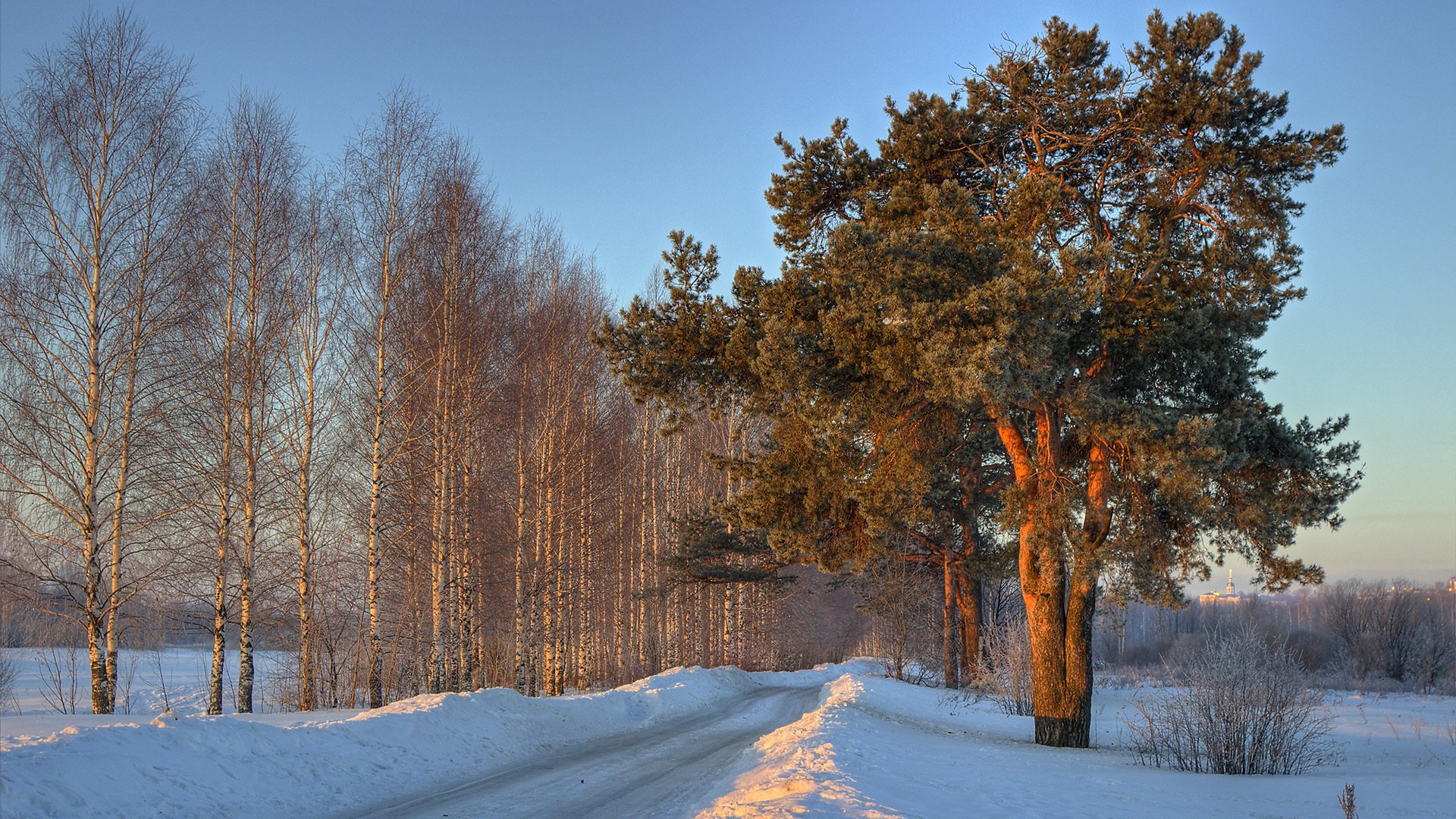 winter trees snowdrift snow road birch pine