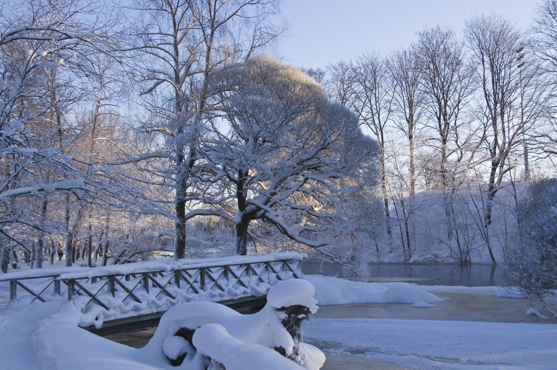 park bridge winter snow frost nature