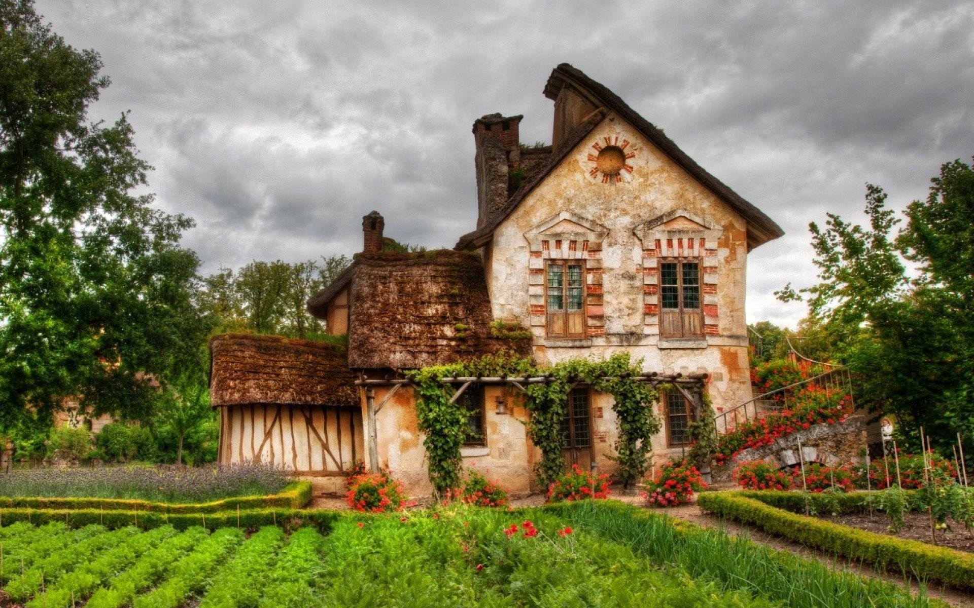 città casa foresta cespugli cielo nuvole natura foto