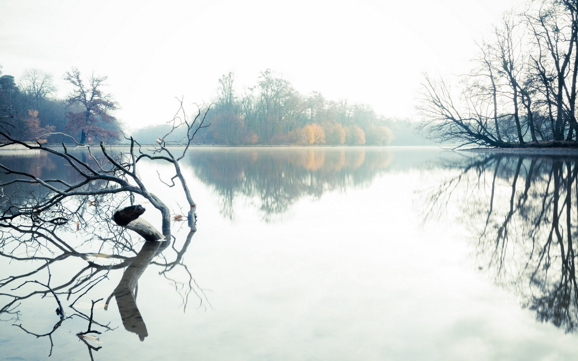 lac matin paysage brouillard