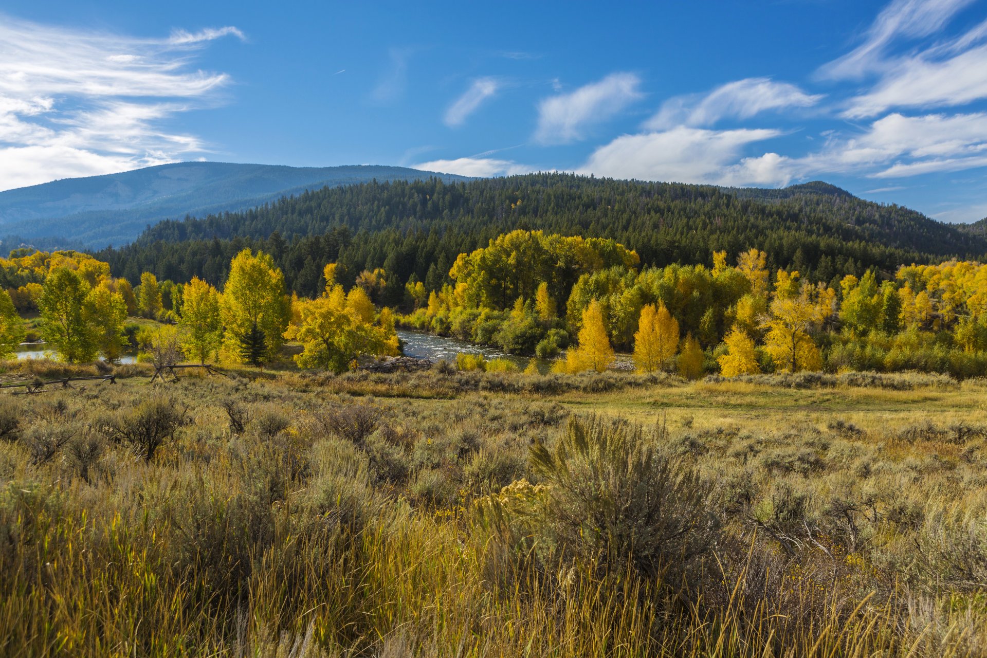 états-unis wyoming parc national grand teton grand teton wyoming forêt arbres jaune buissons herbe rivière montagnes automne