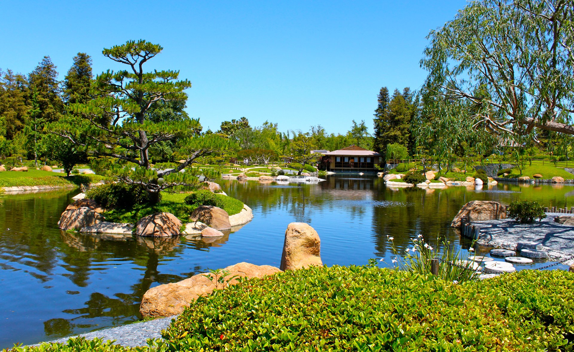 himmel park teich bäume haus