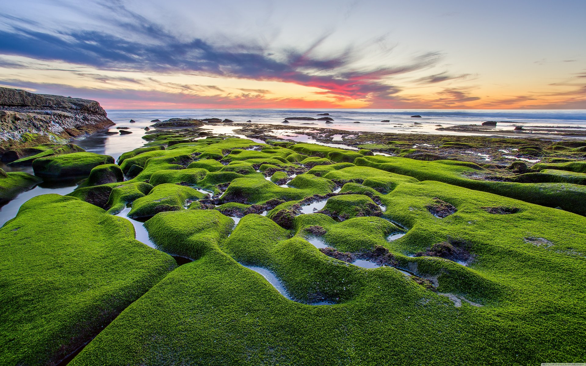 mar costa puesta de sol piedras musgo. verde