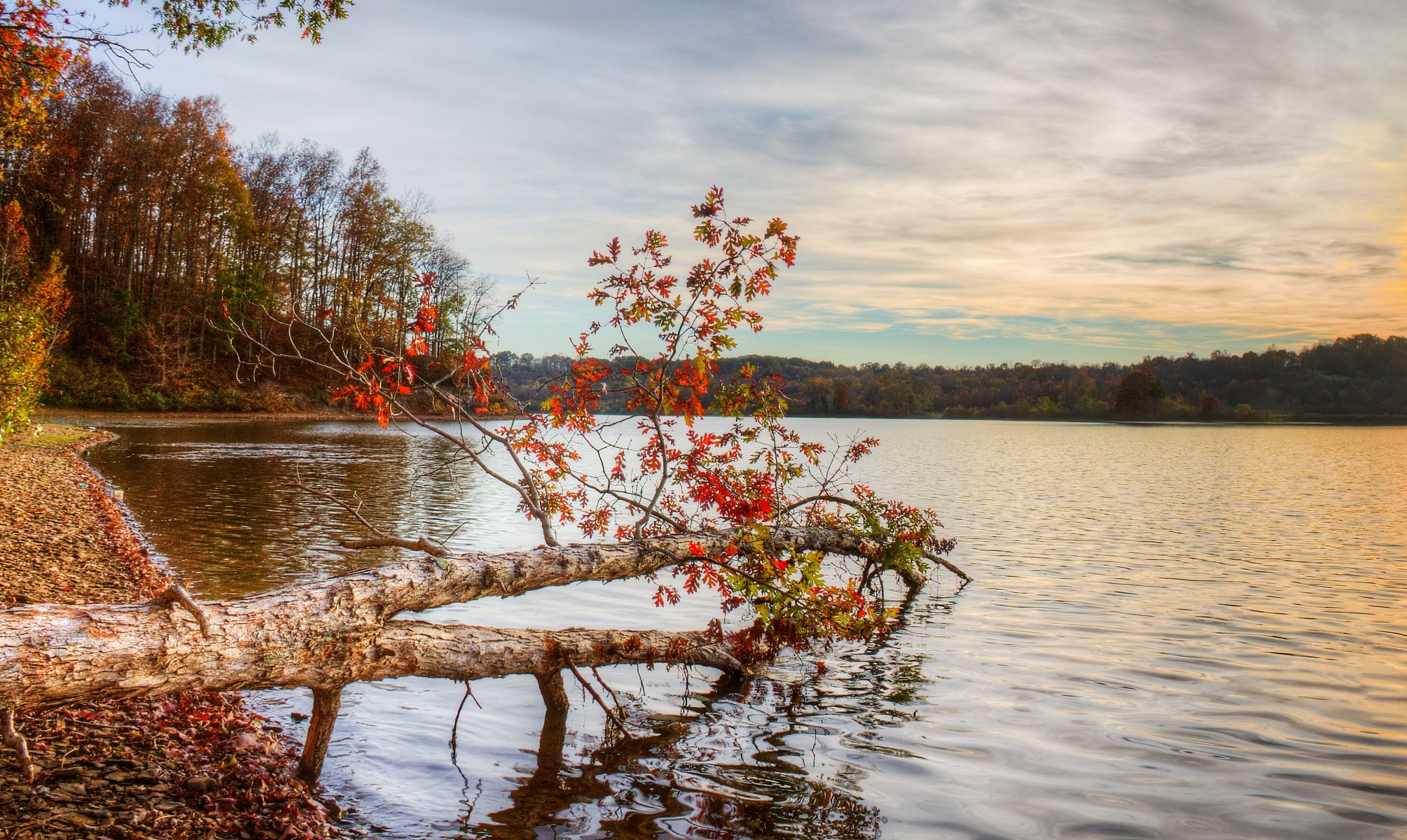 river autumn landscape nature photo