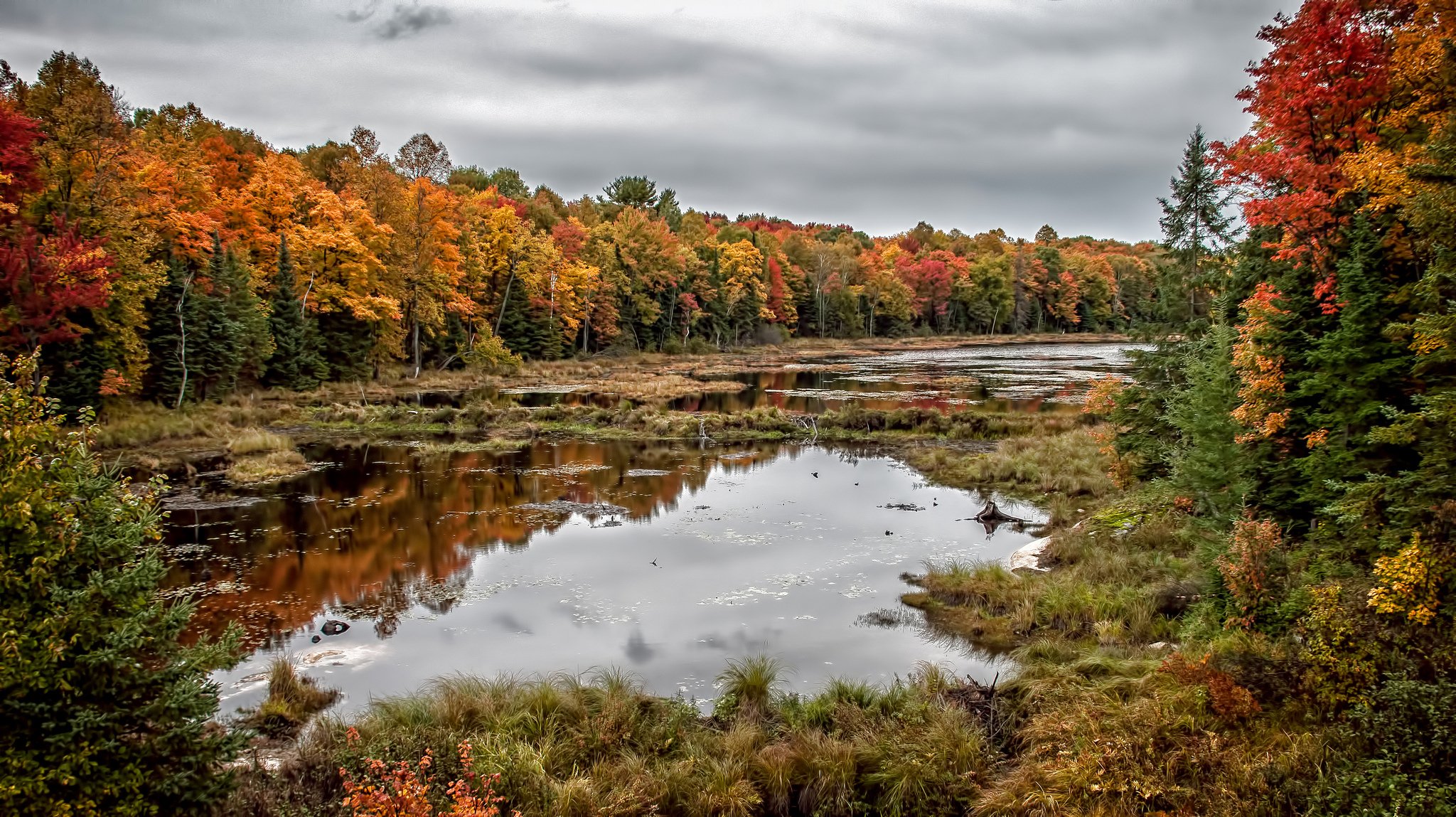 herbst reflexionen killbear provincial park ontario