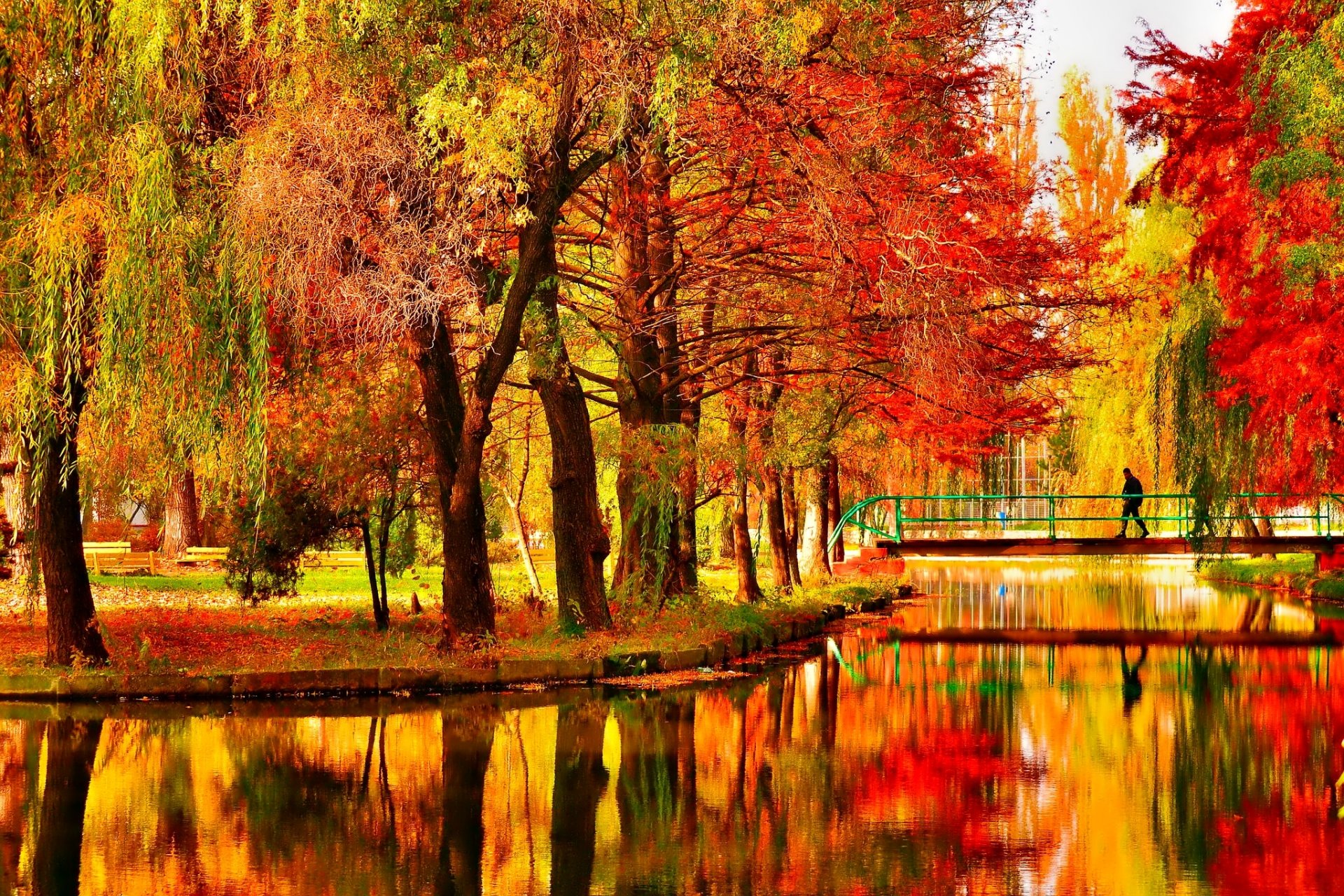 park teich brücke bäume herbst