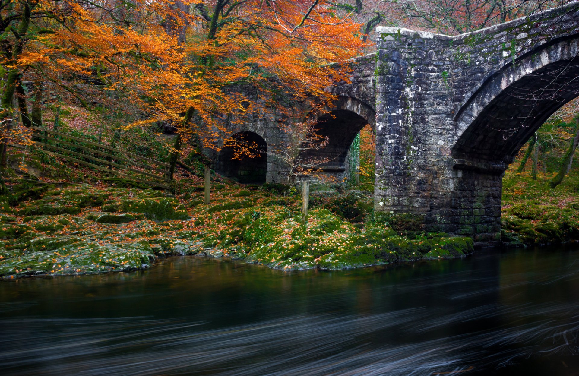 wald park fluss brücke herbst bäume