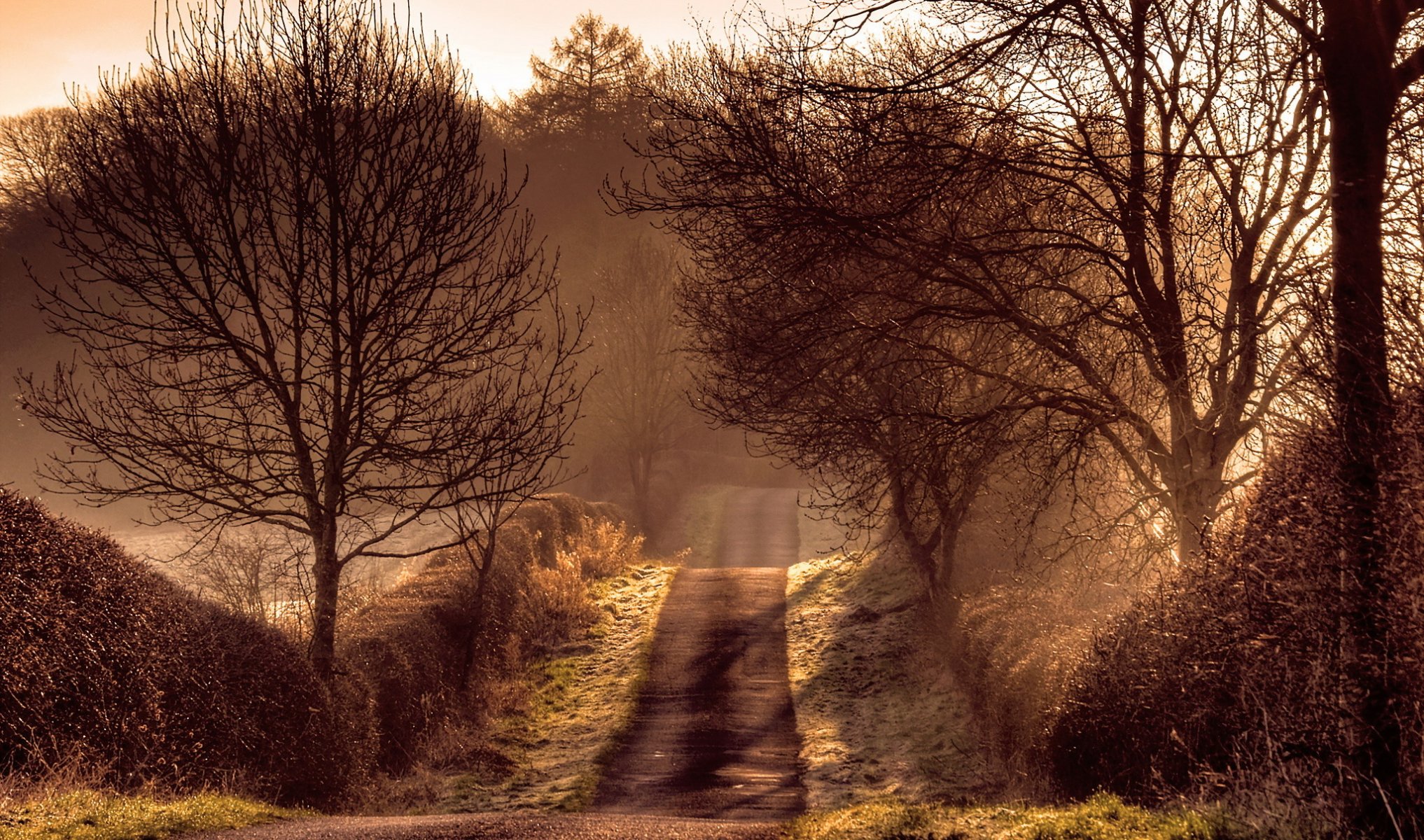 morning road light