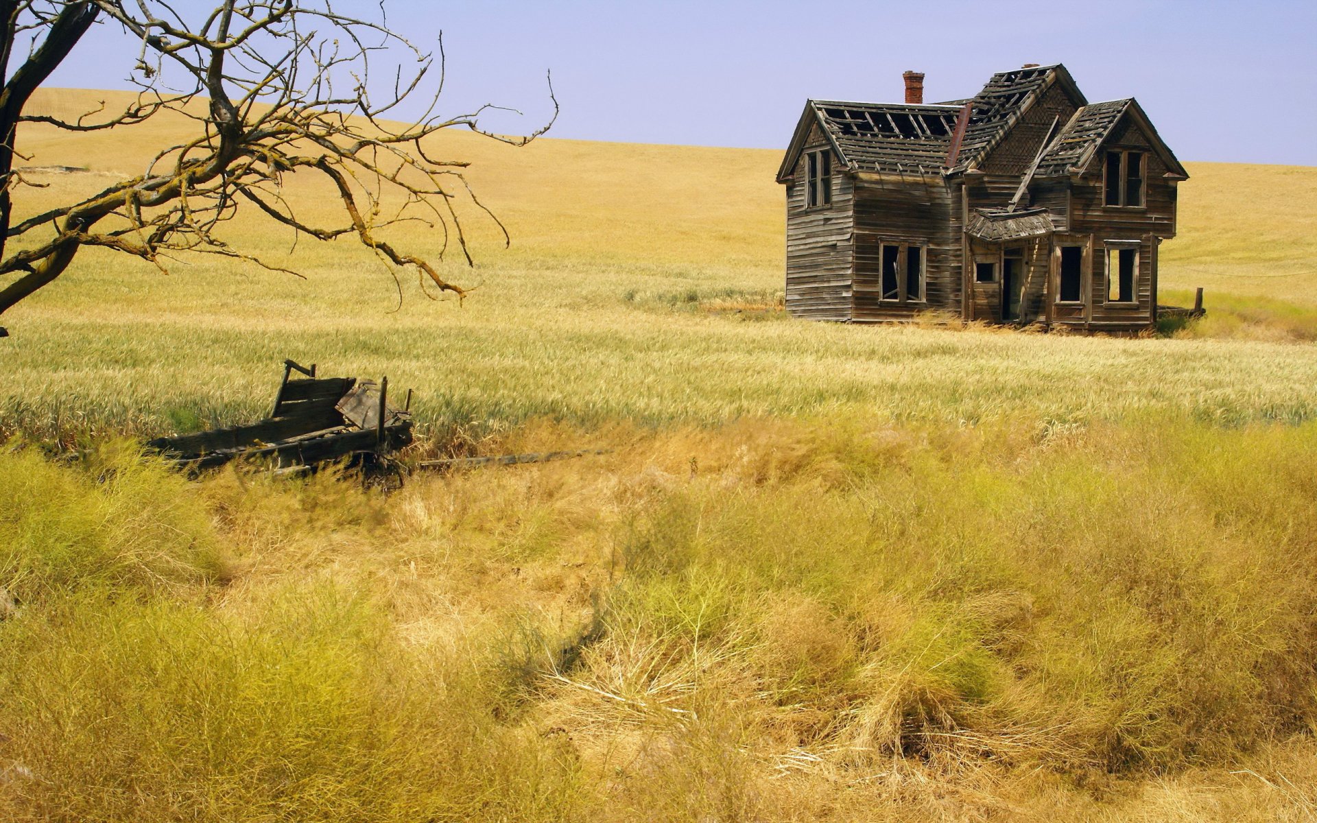 the field house landscape