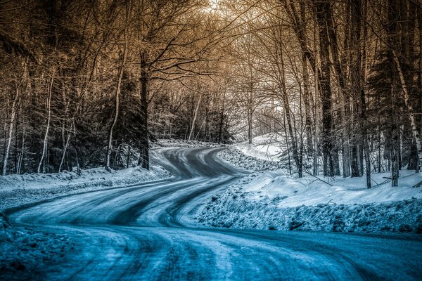 Strada attraverso la foresta invernale