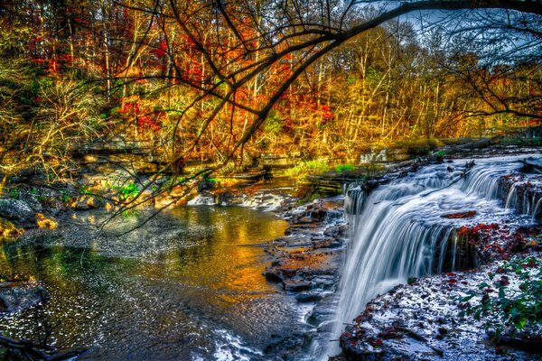 Saltos de agua en el bosque de otoño