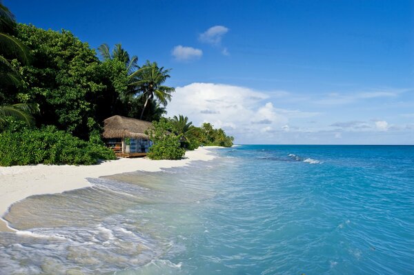 La cabaña se encuentra en la orilla del mar en los trópicos