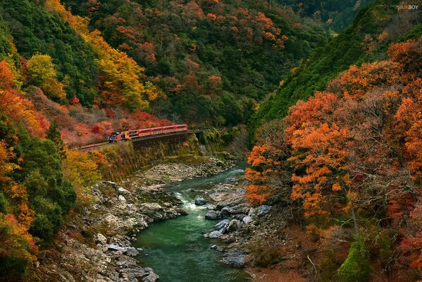 Bergfluss neben der Eisenbahn im Herbst