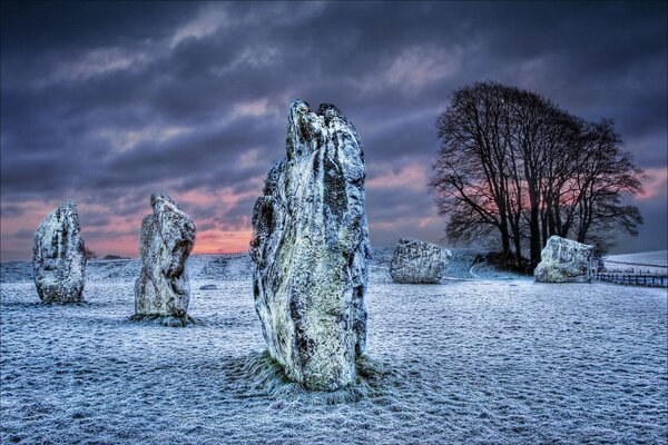 Megaliths and trees in Wiltshire, United Kingdom