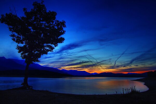 Arbre près du lac au moment du coucher du soleil