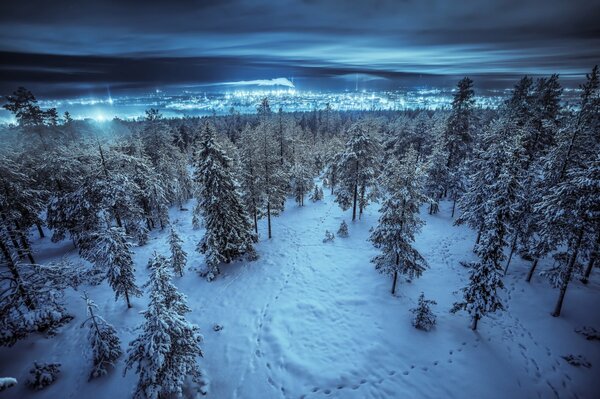 Città turno di notte attraverso la foresta invernale