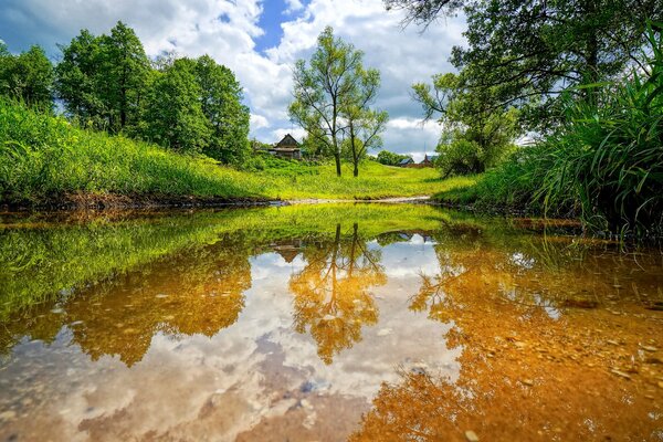 Rustikale Landschaft am See und am Wald