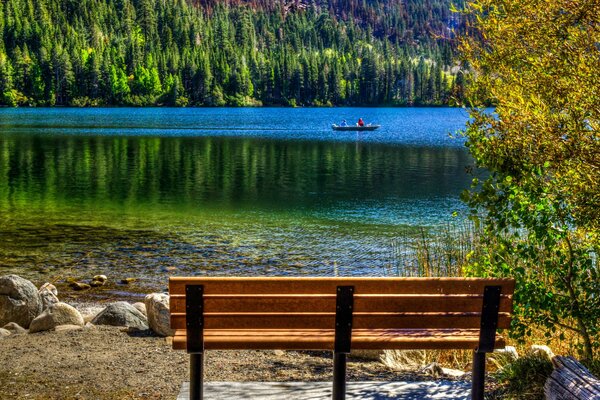 Californie. Banc au bord du lac avec vue sur la forêt