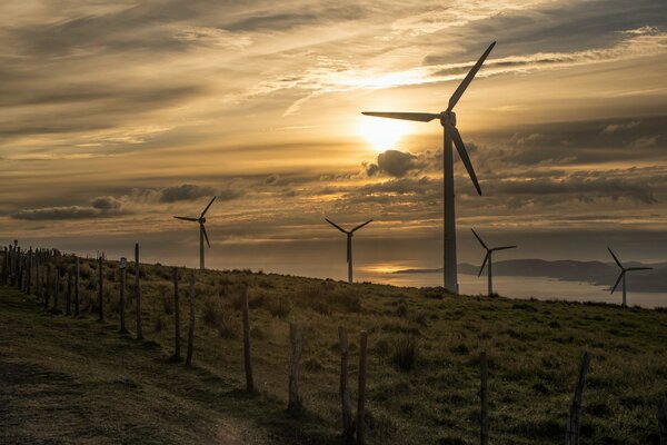 Wind turbines on the seashore at sunset