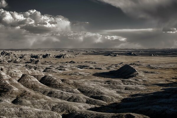 Paysage sombre de la terre sans fruits