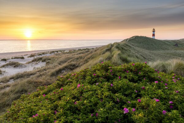 Amanecer sobre el mar