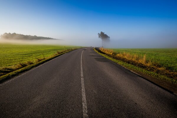 Brouillard du matin dans le champ et le beau ciel